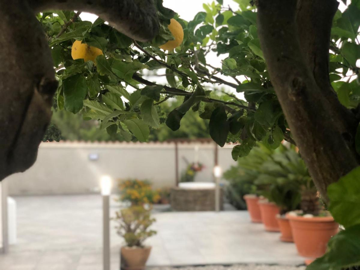Invilla Bed&Breakfast - Quality Rooms Santa Maria di Castellabate Luaran gambar