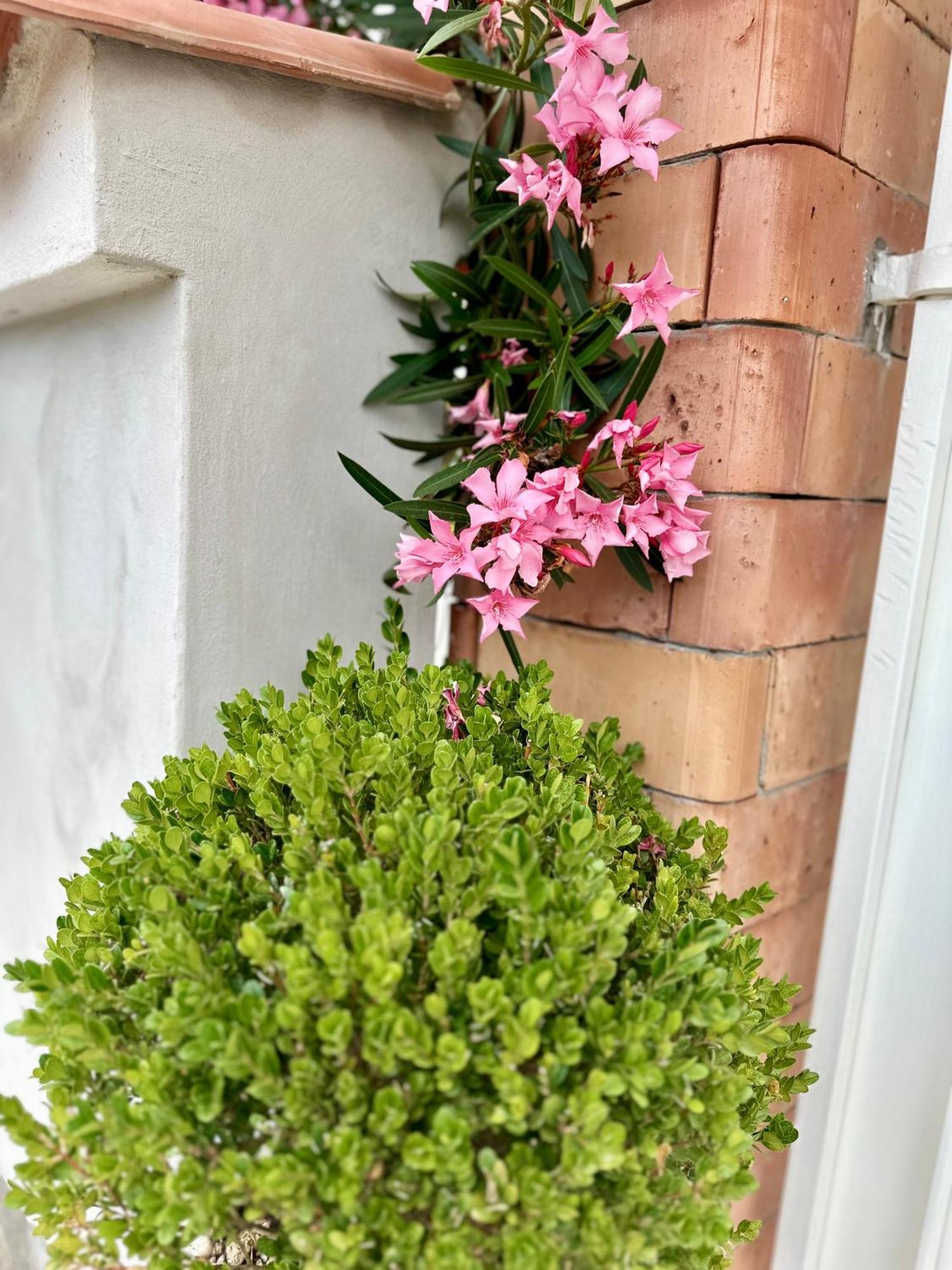 Invilla Bed&Breakfast - Quality Rooms Santa Maria di Castellabate Luaran gambar