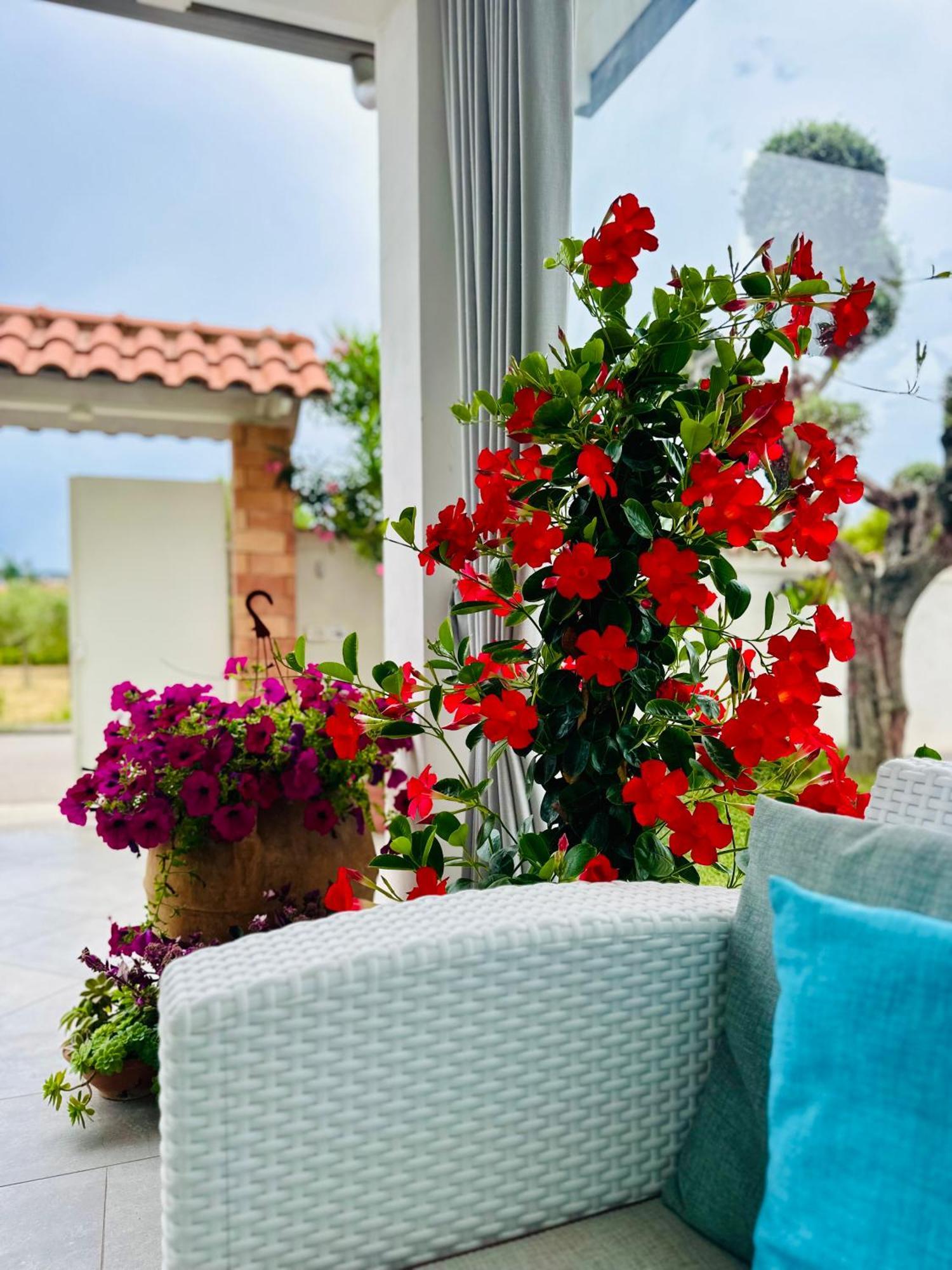 Invilla Bed&Breakfast - Quality Rooms Santa Maria di Castellabate Luaran gambar