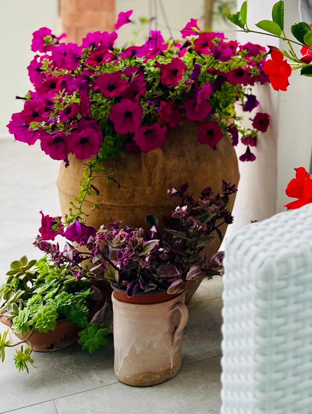 Invilla Bed&Breakfast - Quality Rooms Santa Maria di Castellabate Luaran gambar