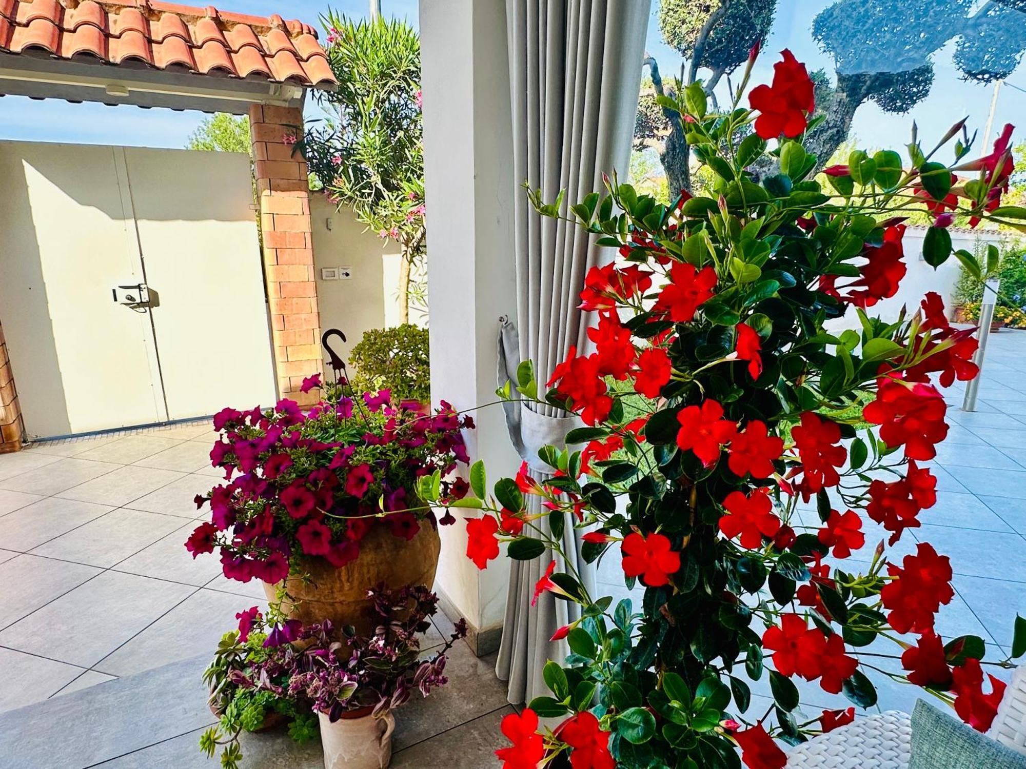 Invilla Bed&Breakfast - Quality Rooms Santa Maria di Castellabate Luaran gambar